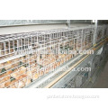 9LCDy-series H-type Multi-tier Pullet Chicken Rearing Cage